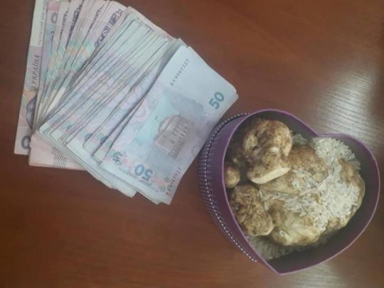 Белый трюфель, выставленный на благотворительный аукцион, продан за 5000 гривен