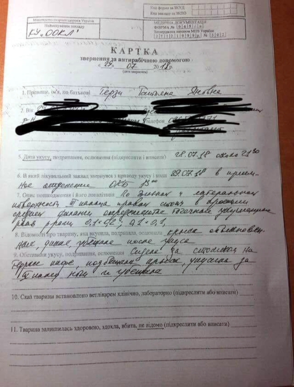 Крыса в одесской пиццерии: ЧП или будни общепита?