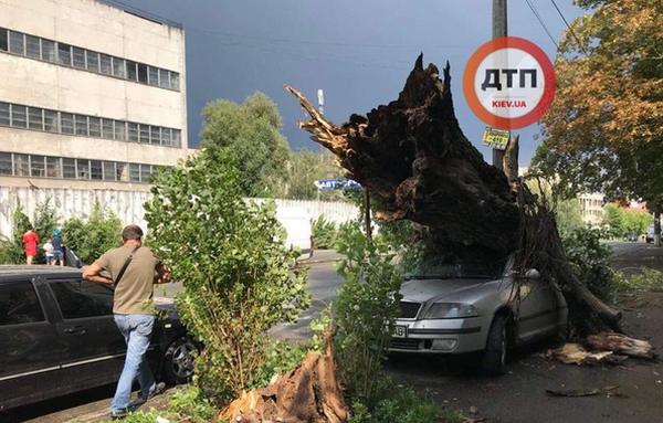Ливень в Киеве: аэропорт в Жулянах ушел под воду