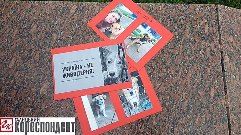 В городах Украины устроили акции против умерщвления животных (фото, видео)