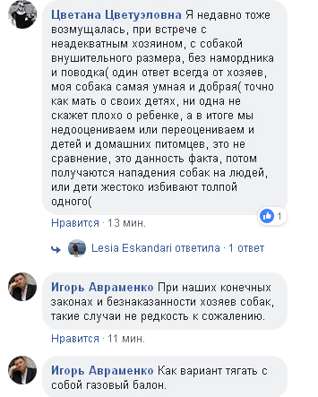 В Киеве стаффордширдский терьер искалечил мужчину (фото)