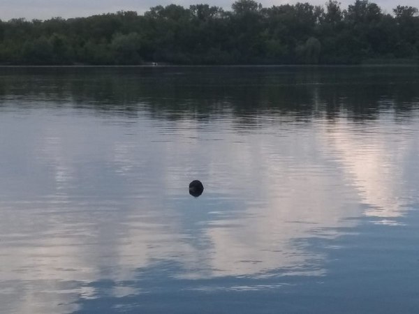 Пробыл в воде несколько недель: в Киеве рыбак выловил труп мужчины (фото)