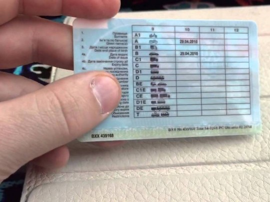 Водителям рассказали, как быстро восстановить права: опубликована инфографика