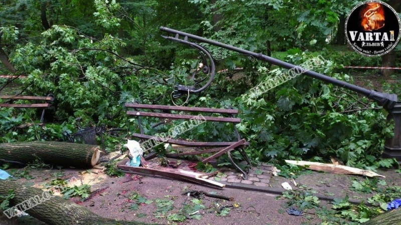 Загинули на лавочці у парку: у Львові під час буревію дерево вбило хлопця та дівчину