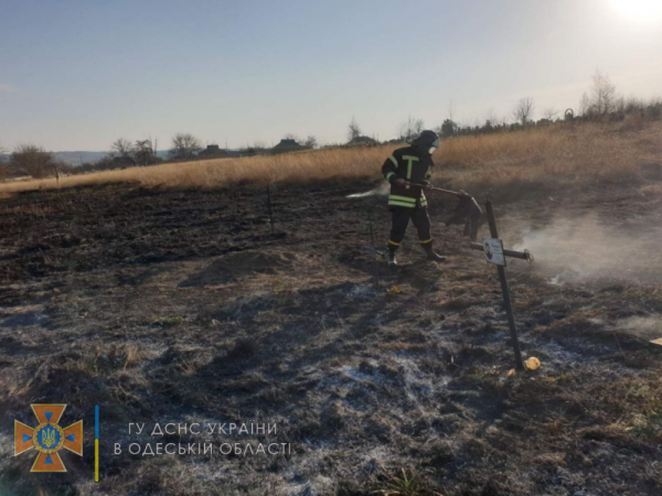 В Одесской области чуть не сгорело кладбище 