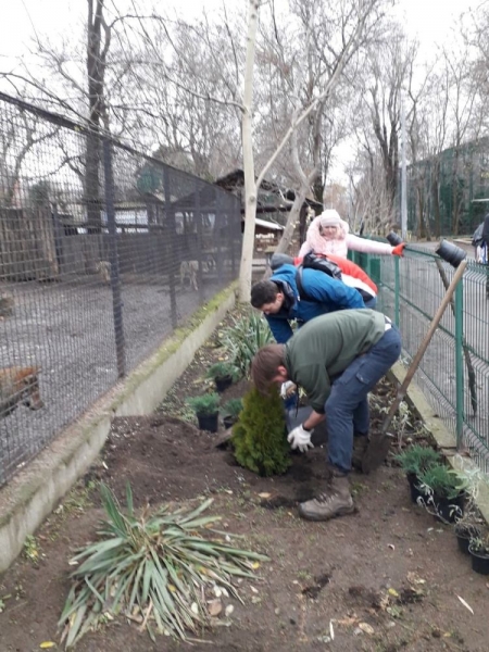 В Одесском зоопарке посадили сосны, можжевельник и гортензии 