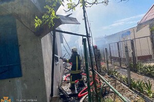 Ликвидация последствий ракетного удара и помощь животным: как прошли сутки у одесских спасателей