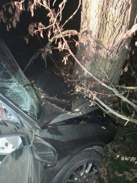 Смертельна ДТП під Києвом: автомобіль з'їхав у кювет і протаранив дерево, є загиблий та постраждалі