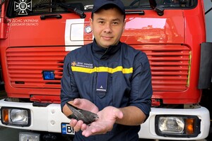 Одесские пожарные спасли стрижа Арчи