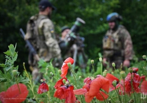 Карта боевых действий в Украине 19 августа