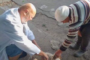 В Одесской области за неделю вакцинировали от бешенства более 18 тысяч животных
