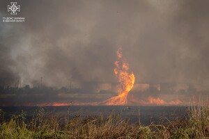В Одессе на Хаджибейской дороге на полях горело более одного гектара: cпасатели заметили смерч 
