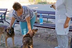 В Одесской области за неделю вакцинировали от бешенства более 18 тысяч животных