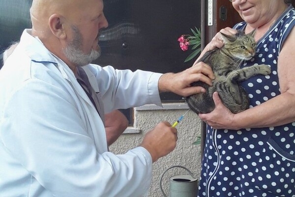 В Одесской области за неделю вакцинировали от бешенства более 18 тысяч животных