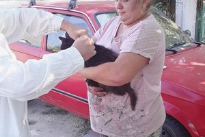 В Одесской области за неделю вакцинировали от бешенства более 18 тысяч животных