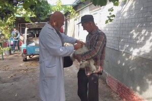 В Одесской области за неделю вакцинировали от бешенства более 18 тысяч животных