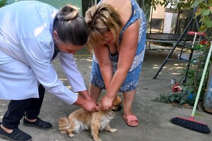 В Одесской области за неделю вакцинировали от бешенства более 18 тысяч животных