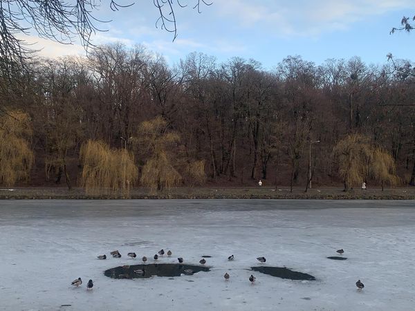 Тельцям — нові стосунки, а Козорогам — вдалі поїздки: що приготували українцям зірки та погода 24 грудня