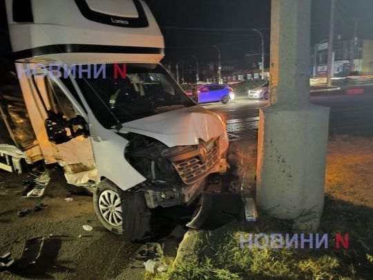 У центрі Миколаєва в ДТП потрапила вантажівка з двома тоннами заморожених… собак