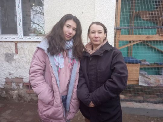 Собаки виють під сирену, а коти дуже стресують у момент вибуху: прихисток для тварин родини зоозахисників з Полтави під час війни переповнений