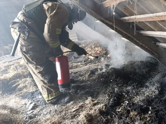 Терористи продовжують обстрілювати мирні міста: упродовж доби завдано сотні ударів по Україні