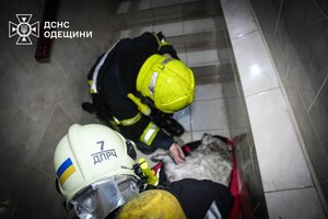В Одессе горела квартира: погибли животные